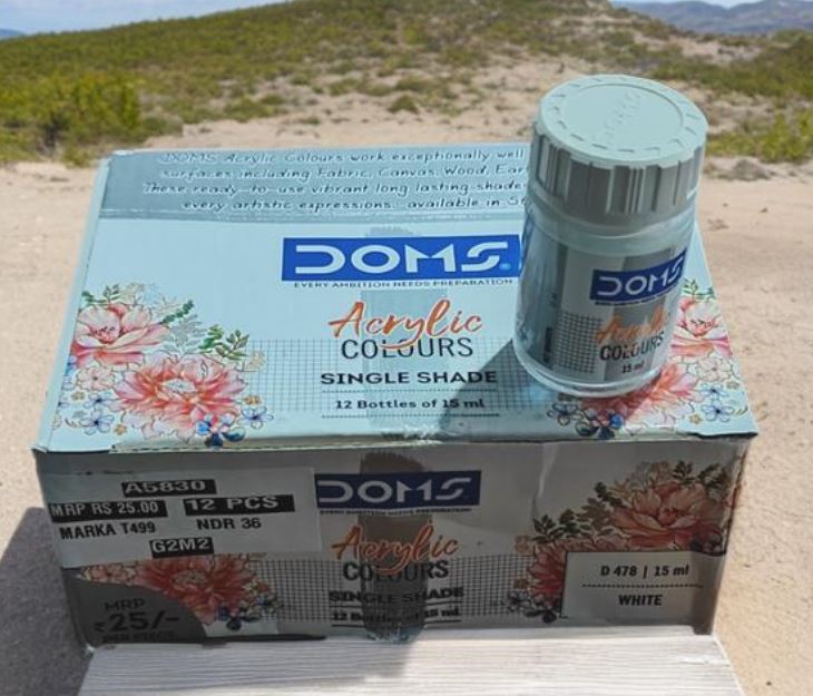 DOMS Acrylic White colours Singal Shade 12 Bottles of 15ml (D-478)
