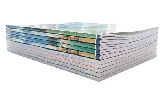 200 Pages A4 Size Notebook - Single Line Ruled (29 x 21 cm) | Ruled notebooks for Writing | Register Notebook for Students | Pack Set of 10 With 2